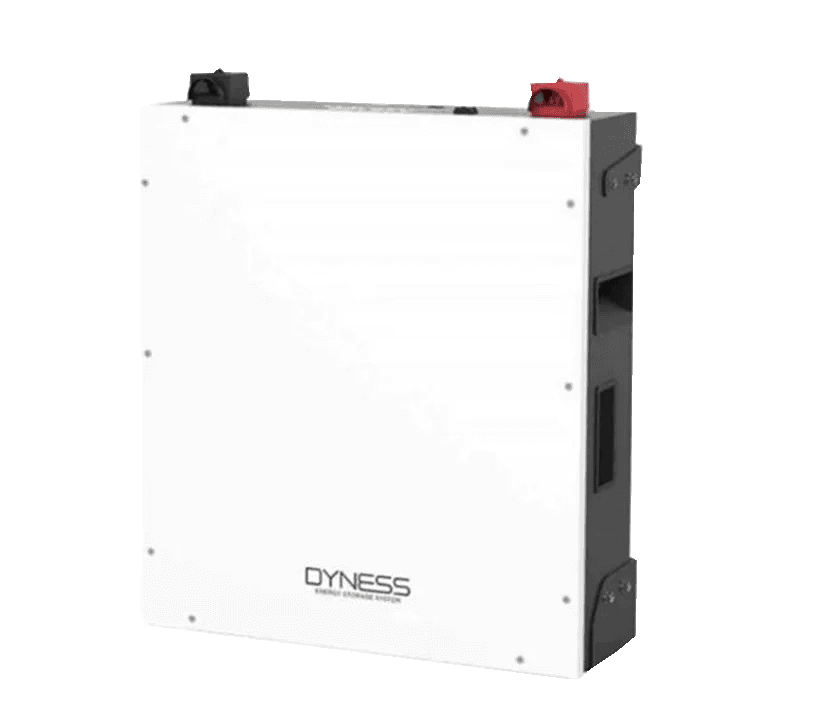 Dyness DL5.0C Low Voltage Battery